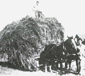 Agriculture au Québec