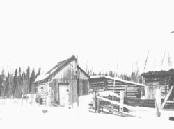 Habitation d'une famille de colons en 1905. Habitation d'une famille de colons en 1905.